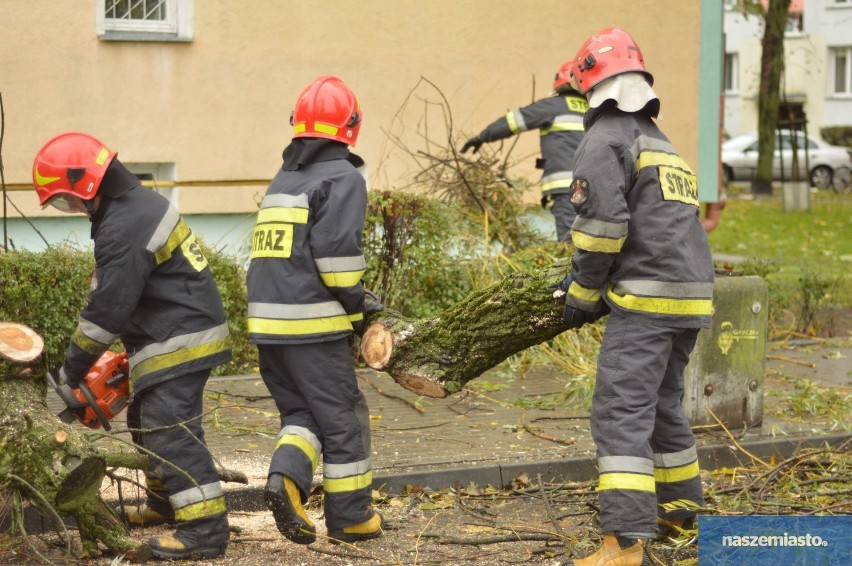 Orkan Grzegorz we Włocławku. Podsumowanie niedzielnych interwencji Straży Pożarnej we Włocławku