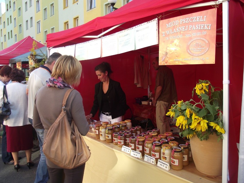 Dolnośląski Festiwal Dary Lasu w Lwówku Śląskim