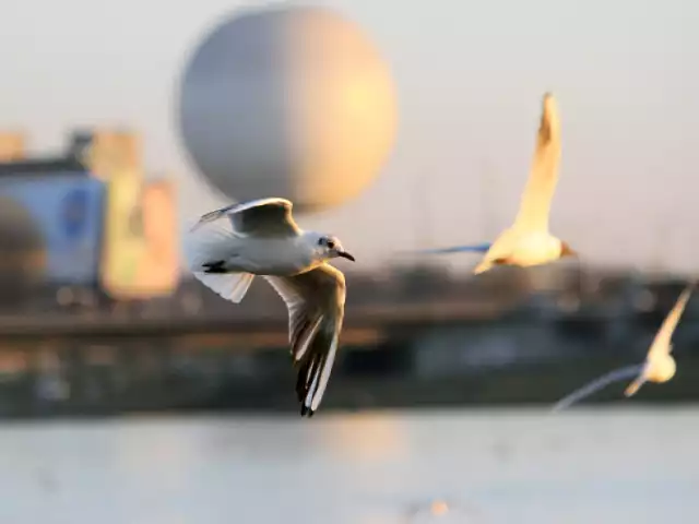 Zobacz, jaka POGODA W KRAKOWIE będzie w najbliższych dniach i co ...