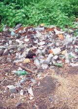Ekologiczny patrol. Śmieci przy Międzyrzeckiej w Miedźnej nadal straszą