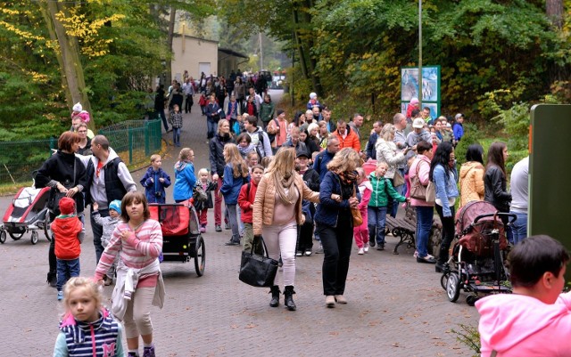 Gdańskie zoo bije kolejne rekordy frekwencji