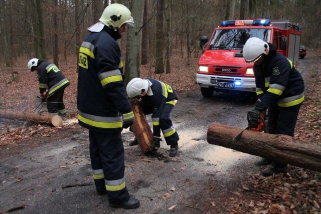 Bilans strat po wichurze nad Warmią i Mazurami