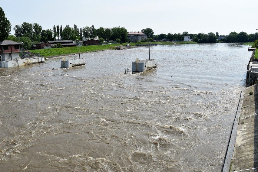 Fala na Odrze w Opolu. Rzeka wylewa się z koryta, przykryła...