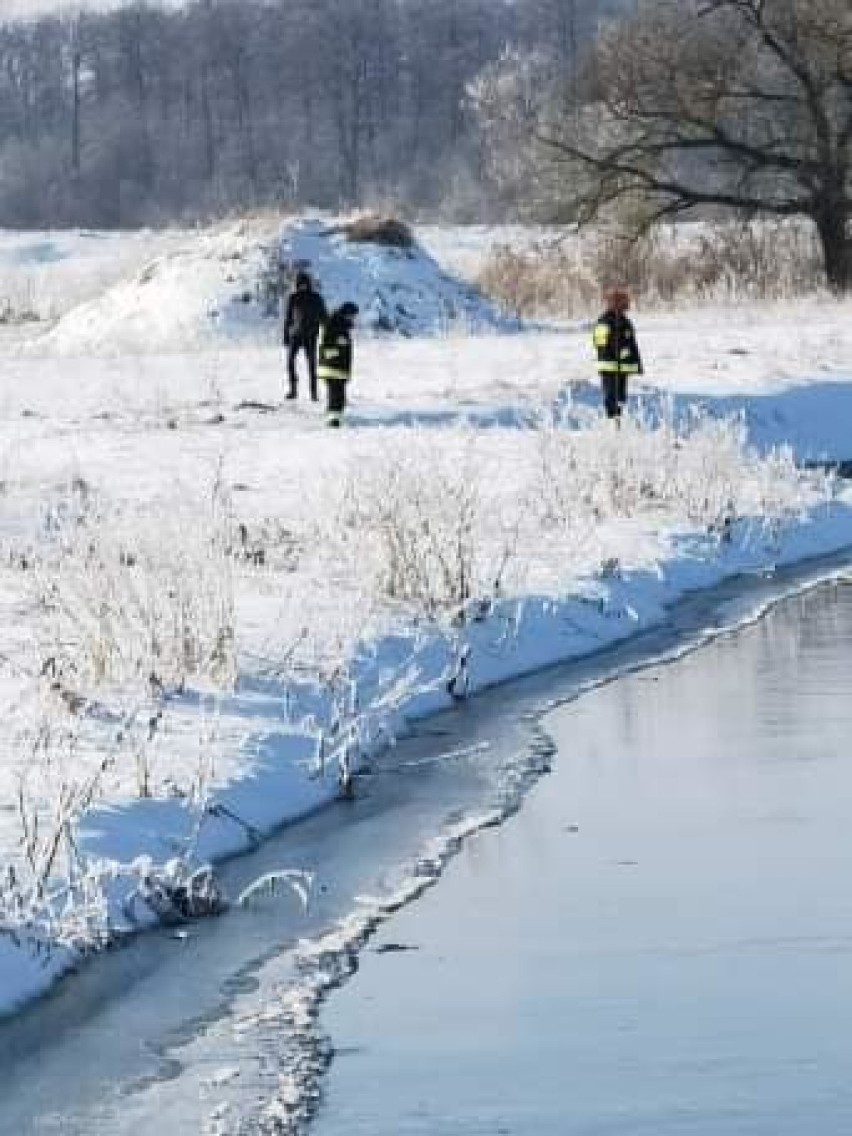 Poszukiwania zaginionego Kazimierza Żarskiego