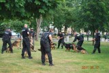 Policyjne psy zaprezentowały swoje umiejętności