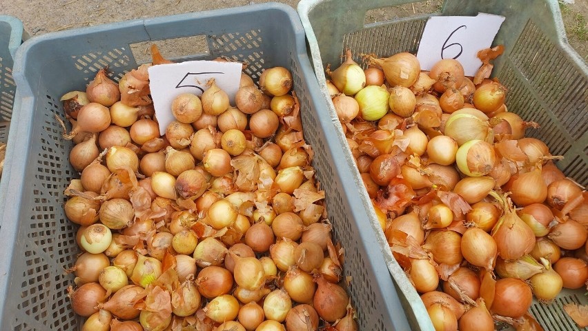 Ceny warzyw i owoców na targu w Opatowie w środę 12 kwietnia. Sprawdź