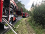 Tajemniczy pożar koło Przemkowa. Młody mężczyzna doznał ciężkich poparzeń