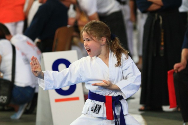 IX Puchar Świata w Karate Tradycyjnym ORLEN 2017 - 3 czerwca 2017, Łódź – Atlas Arena