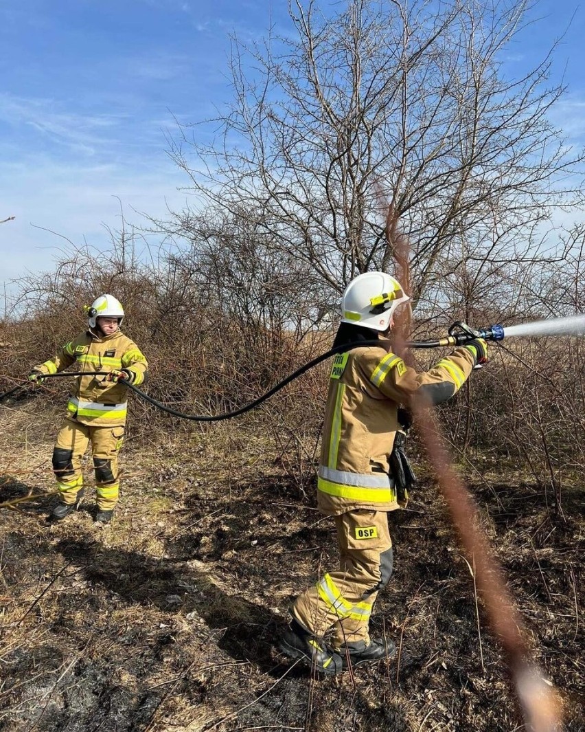 Do pożarów traw strażacy z powiatu krakowskiego jeżdżą po...