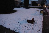 Zima na początku grudnia - poza Wejherowem jest całkiem sporo śniegu