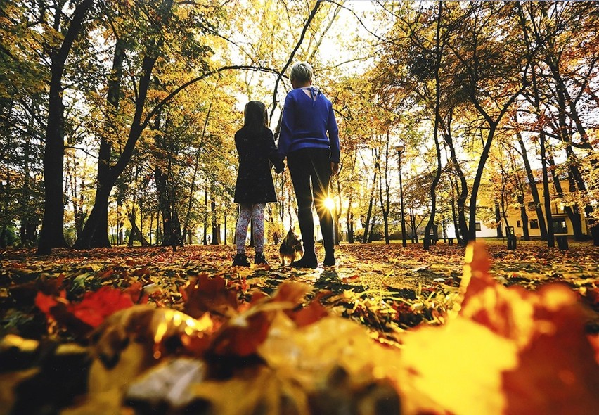 Najlepsze zdjęcia z XXI Oleskiego Konkursu Fotograficznego