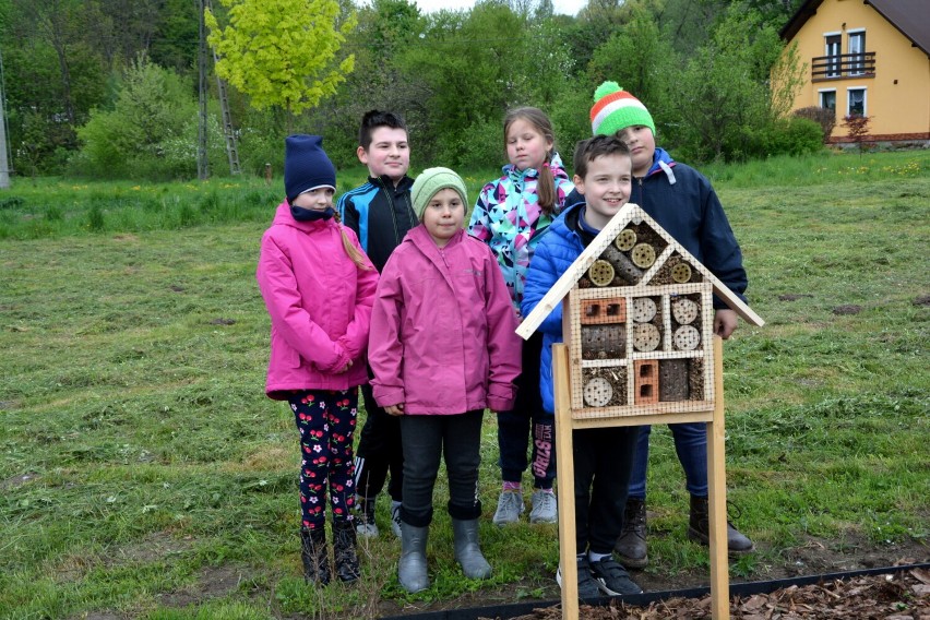 Ogród sensoryczny biofilia w Załużu już otwarty [ZDJĘCIA]