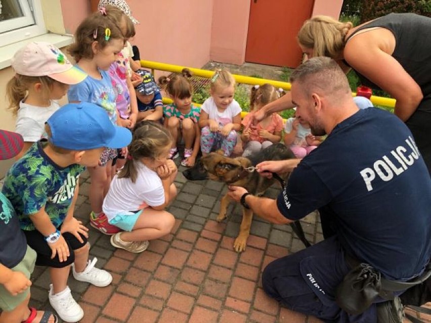 Policjanci w przedszkolu w Kaliszu. Czego dowiedziały się dzieci? ZDJĘCIA