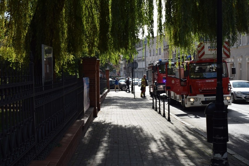 Gniezno. Kolejny mail z informacją o ładunku w gnieźnieńskiej szkole. Tym razem padło na „Medyka”. Czy to zorganizowana akcja?