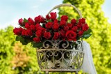 Walentynki 2023. Oto najlepsze kwiaciarnie w Radomiu. Zobacz TOP 15