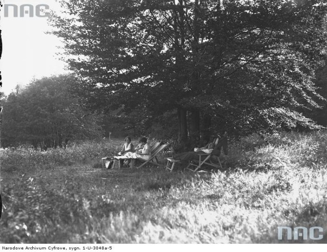 Wypoczynek na leżakach w lesie. Lipiec 1932 r.
http://www.audiovis.nac.gov.pl/obraz/97483/a346a392f7d821d895568b1c948b198f/