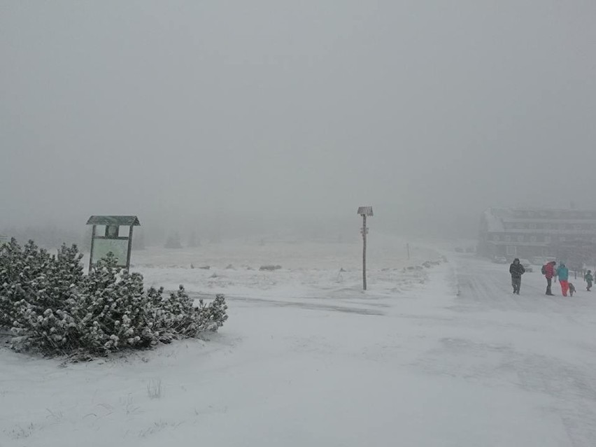 Pierwszy śnieg na Dolnym Śląsku! Wichura nawet 100 km/h [ZDJĘCIA]