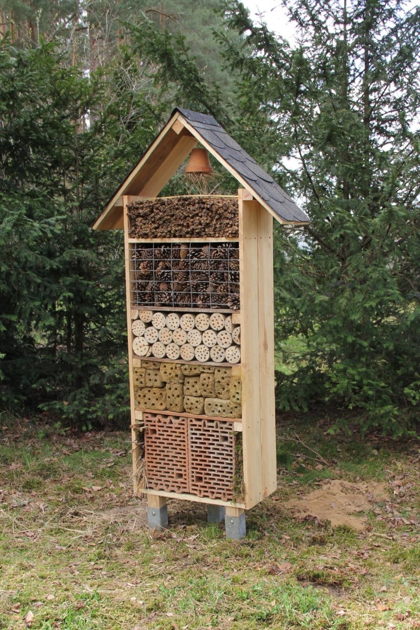 W Arboretum Leśnym w Stradomi powstał pierwszy domek dla owadów 