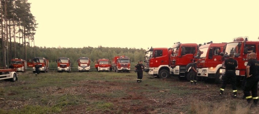 Straż w Chodzieży ćwiczyła gaszenie pożarów lasów [ZDJĘCIA]