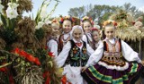 Top 8 imprez w woj. lubelskim w nadchodzący weekend. Sprawdź, gdzie warto się wybrać