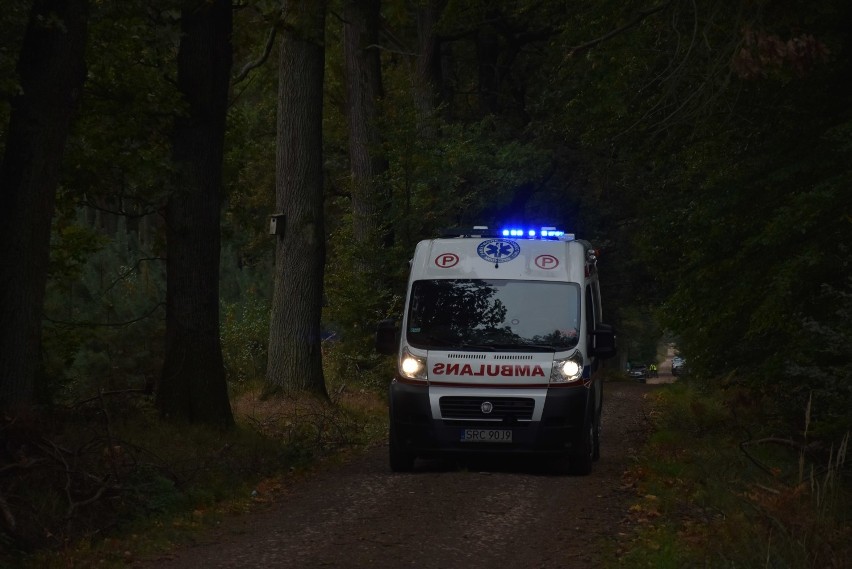 Wybuch w Kuźni Raciborskiej. Saperzy zamiast wywieźć pociski na poligon, zdetonowali je w lesie?