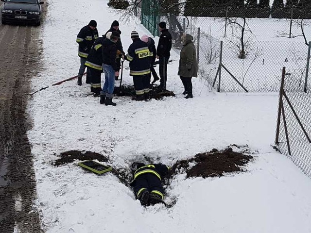 Strażacy z Kosowa uratowali psią rodzinę