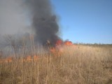 Strażacy od kilku godzin walczą z dużym pożarem traw w okolicach jeziora Mytycze w pow. lubartowskim. Spaliło się już ponad 30 ha. Zobacz