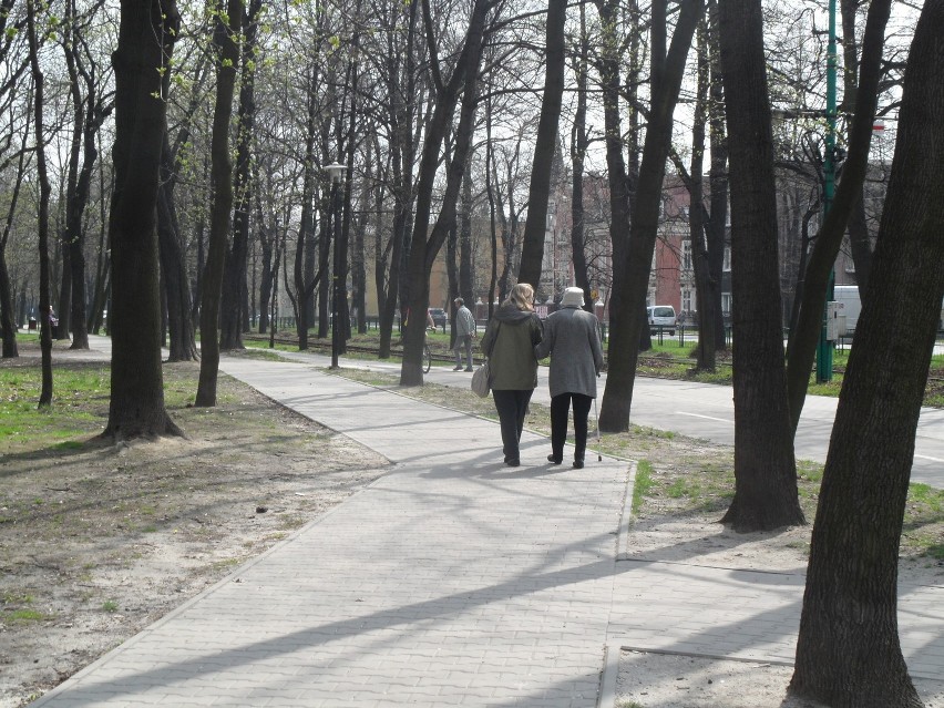 Bytom: Park Miejski im.F.Kachla wiosna 2013. Idź na spacer!