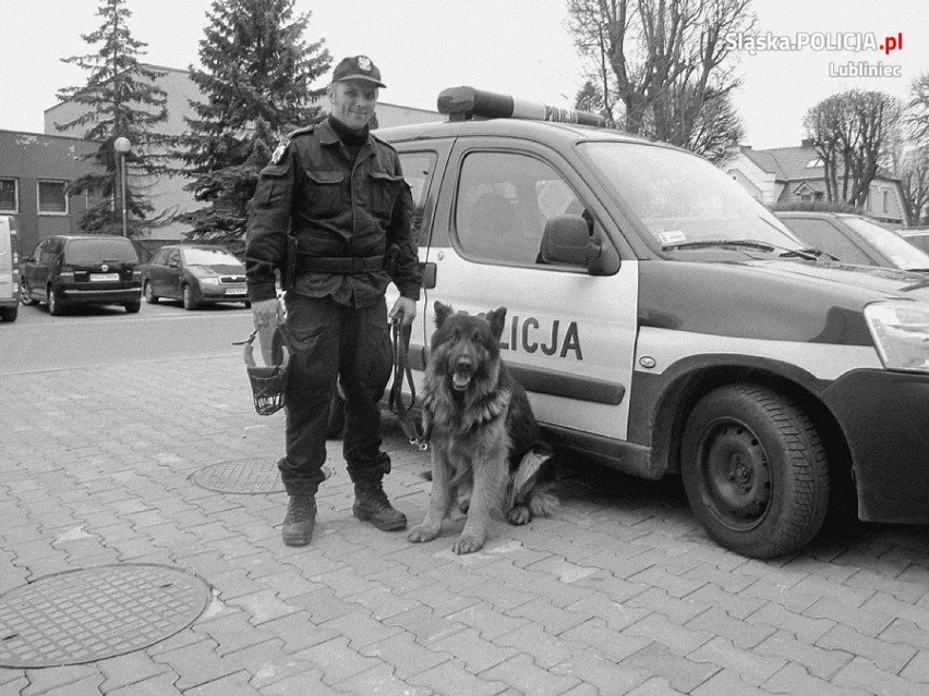 Policyjny pies Misiek z lublinieckiej komendy za "tęczowym mostem"