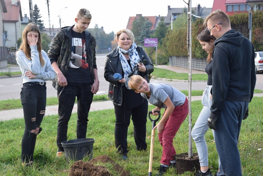 Suwalskie Anioły zasadziły drzewa na osiedlu Hańcza [ZDJĘCIA]