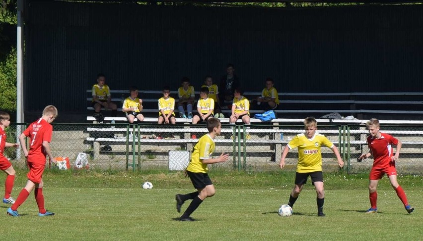 Malbork. To był pierwszy sparing w powiecie po "odmrożeniu" sportu [ZDJĘCIA]. Zagrali młodzicy Pomezanii  