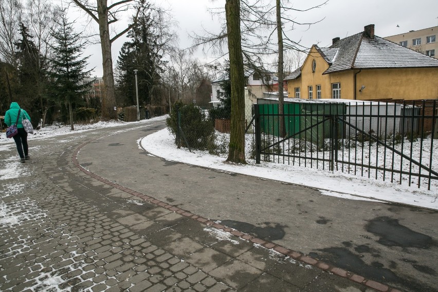 Kraków. Chce szerokiej drogi przez park Młynówka Królewska