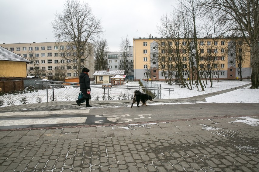 Kraków. Chce szerokiej drogi przez park Młynówka Królewska