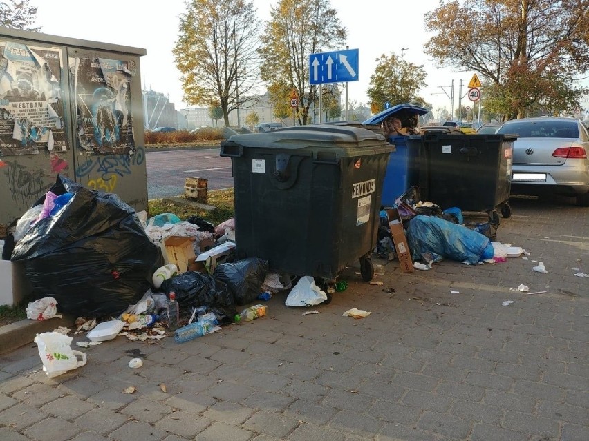 Segregacja śmieci w Szczecinie po nowemu. Co się zmieni? Uwaga na kary!