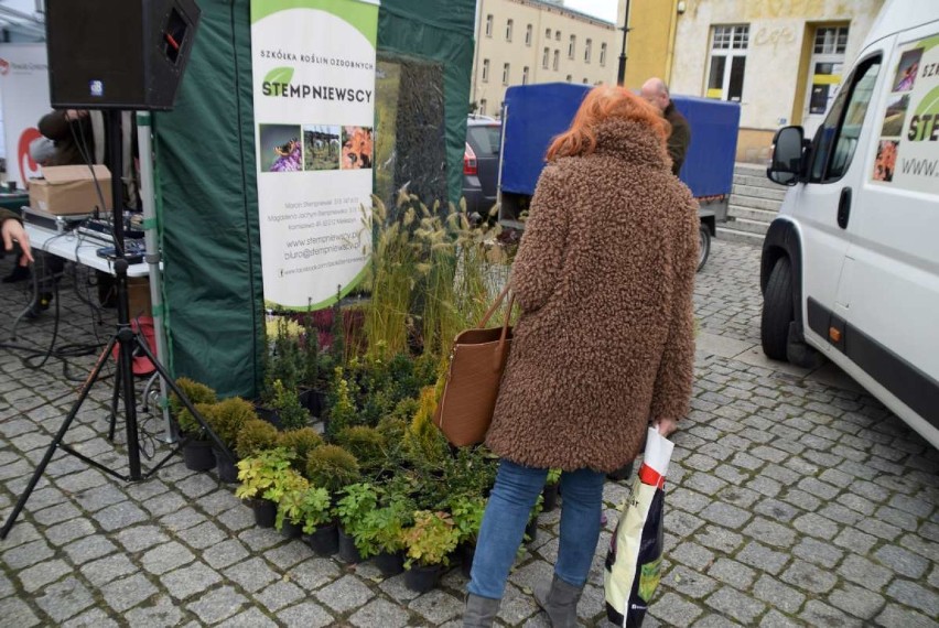 Zbieraliśmy makulaturę za drzewko i pomogliśmy zwierzakom ze...