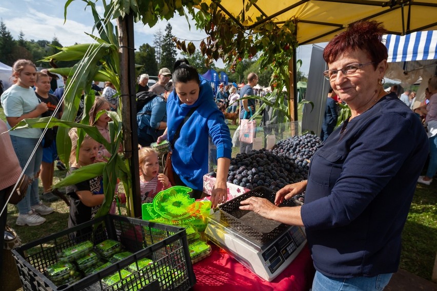 Udany pierwszy dzień Święta Śliwki w Strzelcach Dolnych. W...