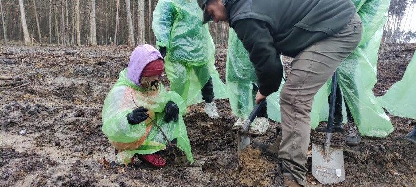 Podczas "Dnia z leśnikiem" dzieci z SP nr 18 w Zielonej...