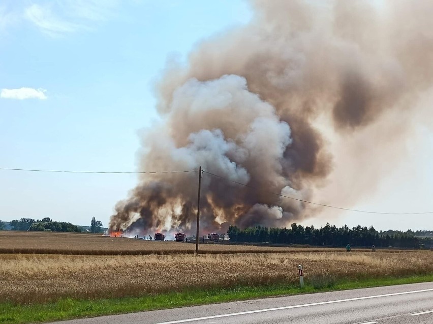 Pożar zboża w Dąbrowej k. Rzeszowa. Spaliło się, kilka hektarów pszenicy [Zdjęcia]