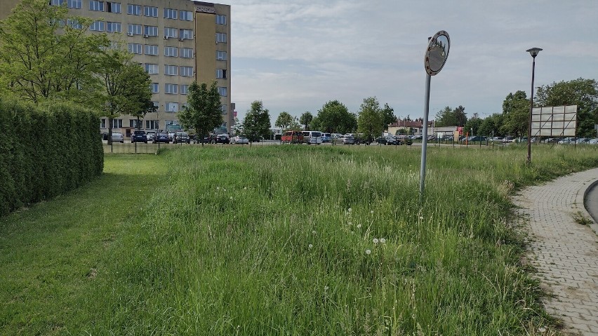 Niezagospodarowany teren przy ul. Lwowskiej w Krośnie zmieni się w park kieszonkowy dla młodych. Mieszkańcy zdecydują, jak ma wyglądać