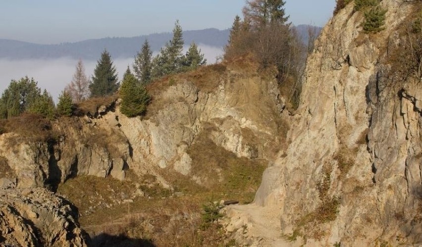 Góra Wdżar leży po gorczańskiej stronie przełęczy Snozka,...