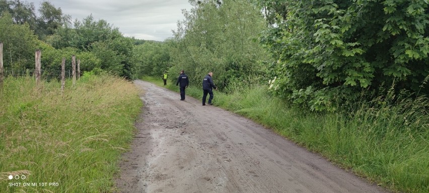 Trwają poszukiwania zaginionego mężczyzny. Może być w okolicach Gronowa Górnego!