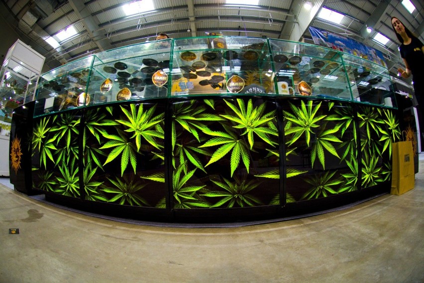 Parlamentarny zespół ds. legalizacji marihuany zapowiedział,...