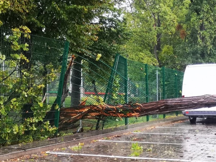 Wrocław. Są ranni po burzach, które szalały w sobotę po południu (SZCZEGÓŁY)