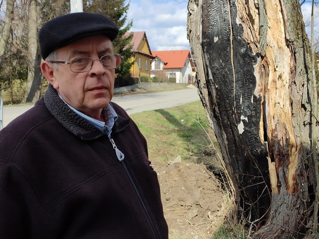 - Nie zostawię tego tematu, dopóki drzewo nie zostanie wycięte - zapewnia sołtys Jan Rączka.