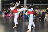 Finał Letniej Akademii Karate w Skarżysku. Ćwiczyłeś? Zobacz zdjęcia