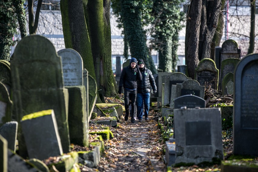 Kraków. Międzynarodowy Dzień Micwy. Posprzątali cmentarz żydowski [ZDJĘCIA]