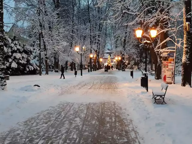 Park Zdrojowy Cieplicach-Śląskich Zdroju odnajdziemy w filmie "Strefa interesów"