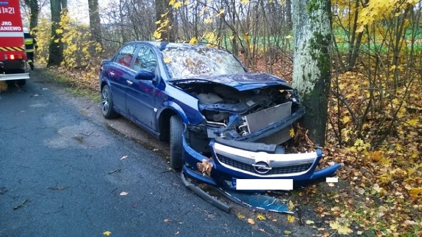 Wypadek Zakrzewiec. Samochód uderzył w drzewo