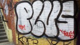 Nielegalne graffiti to problem wszystkich polskich miast, nie tylko Gdańska