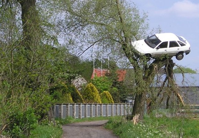 Auto na drzewie: Głupi żart czy zemsta?